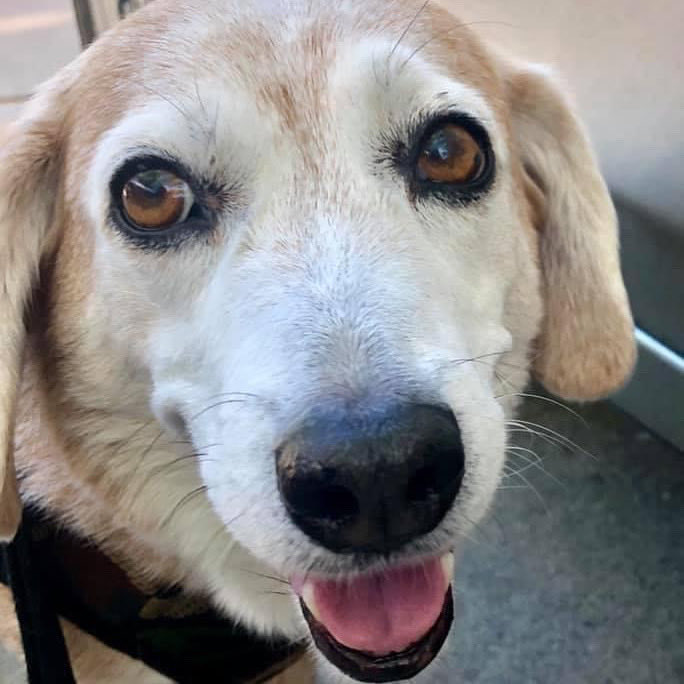 Hello —-if anywon haz snow, eye hope u stay inside 2day and stay warm