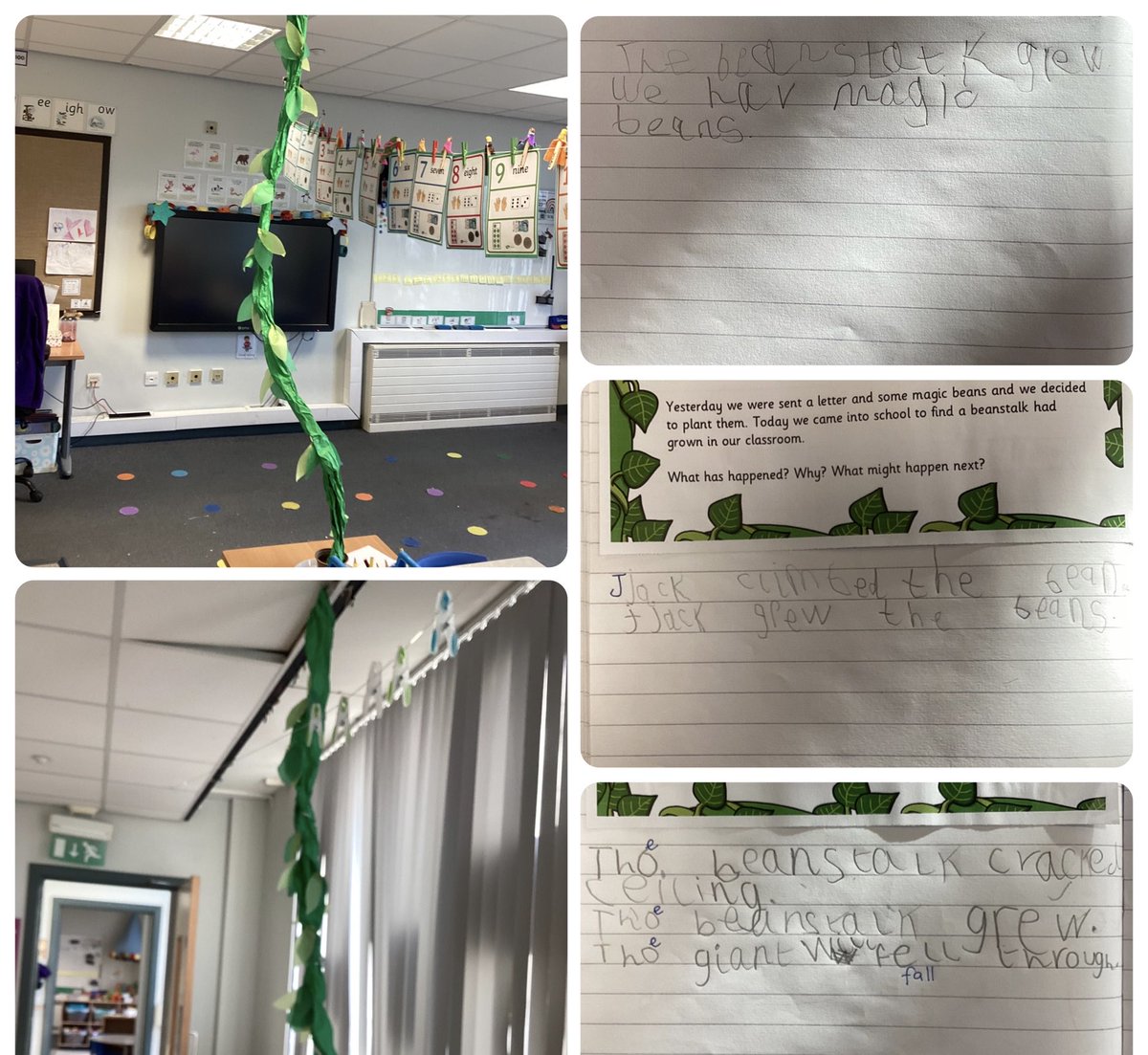 Year 1 🧡 tweet media