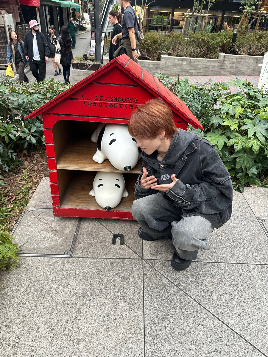 takumaongaku's tweet image. 今日はスヌーピーっちに会ってきた！
実は髪型と髪色も変えたよー！
どうかな？！似合ってる？！（圧っ）
楽しい一日でした！
#SevenDeuce #セブデュ