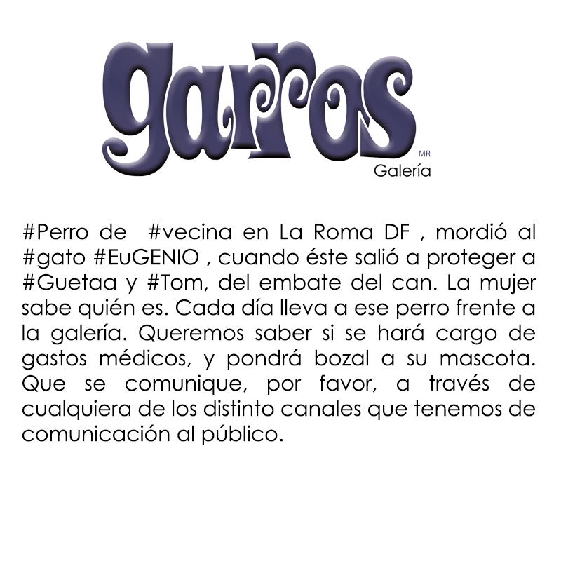 Garros Todo en Gatos tweet media