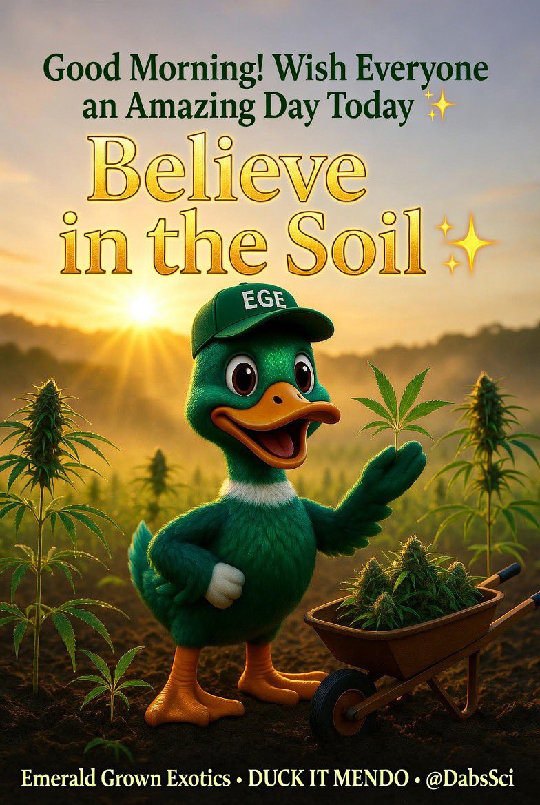 Emerald Grown Exotics (@dabssci) on Twitter photo 