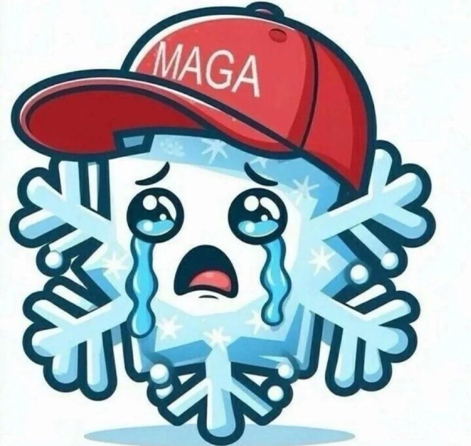 tommy leo tweet media