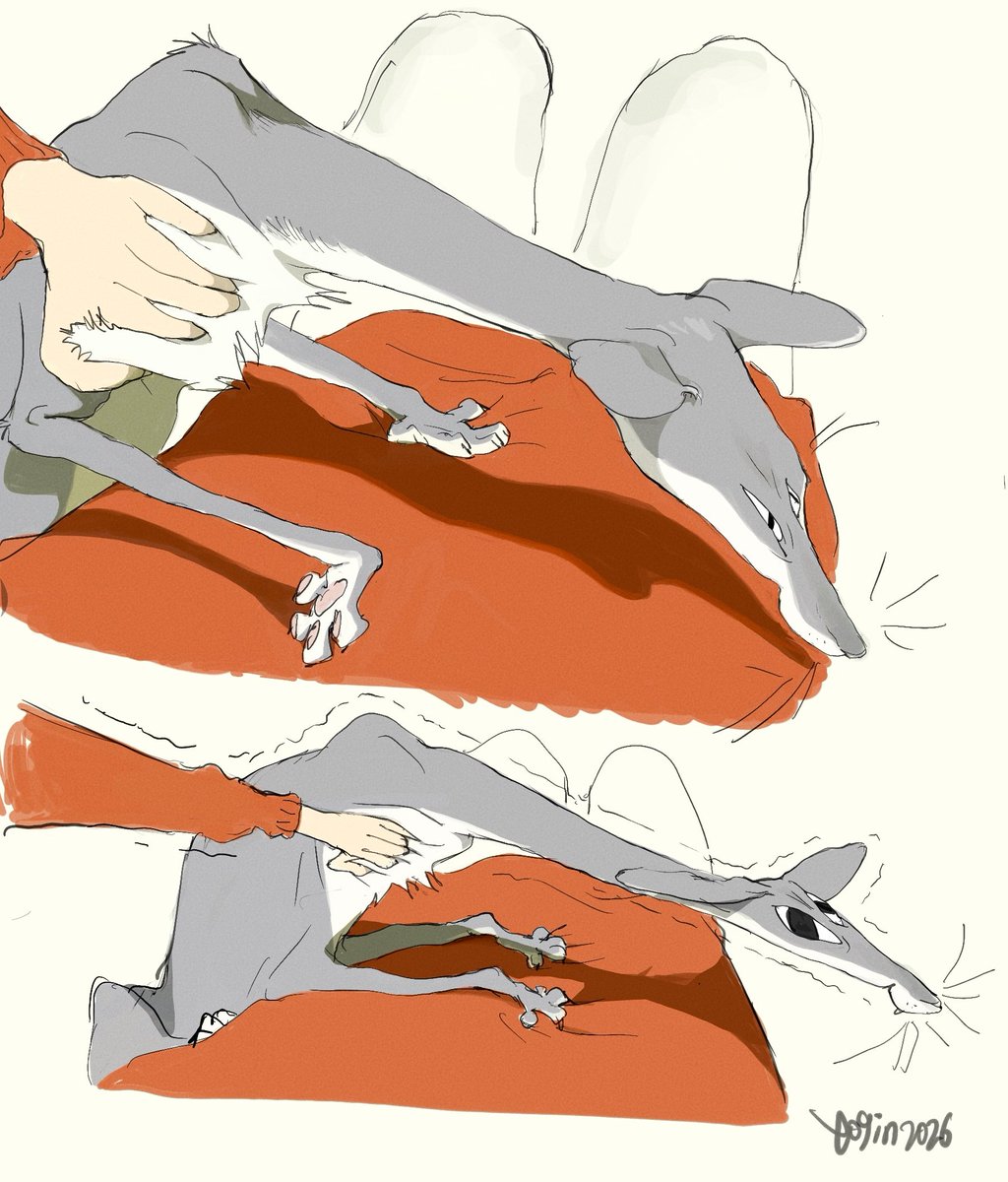 yogin幺菁 tweet media