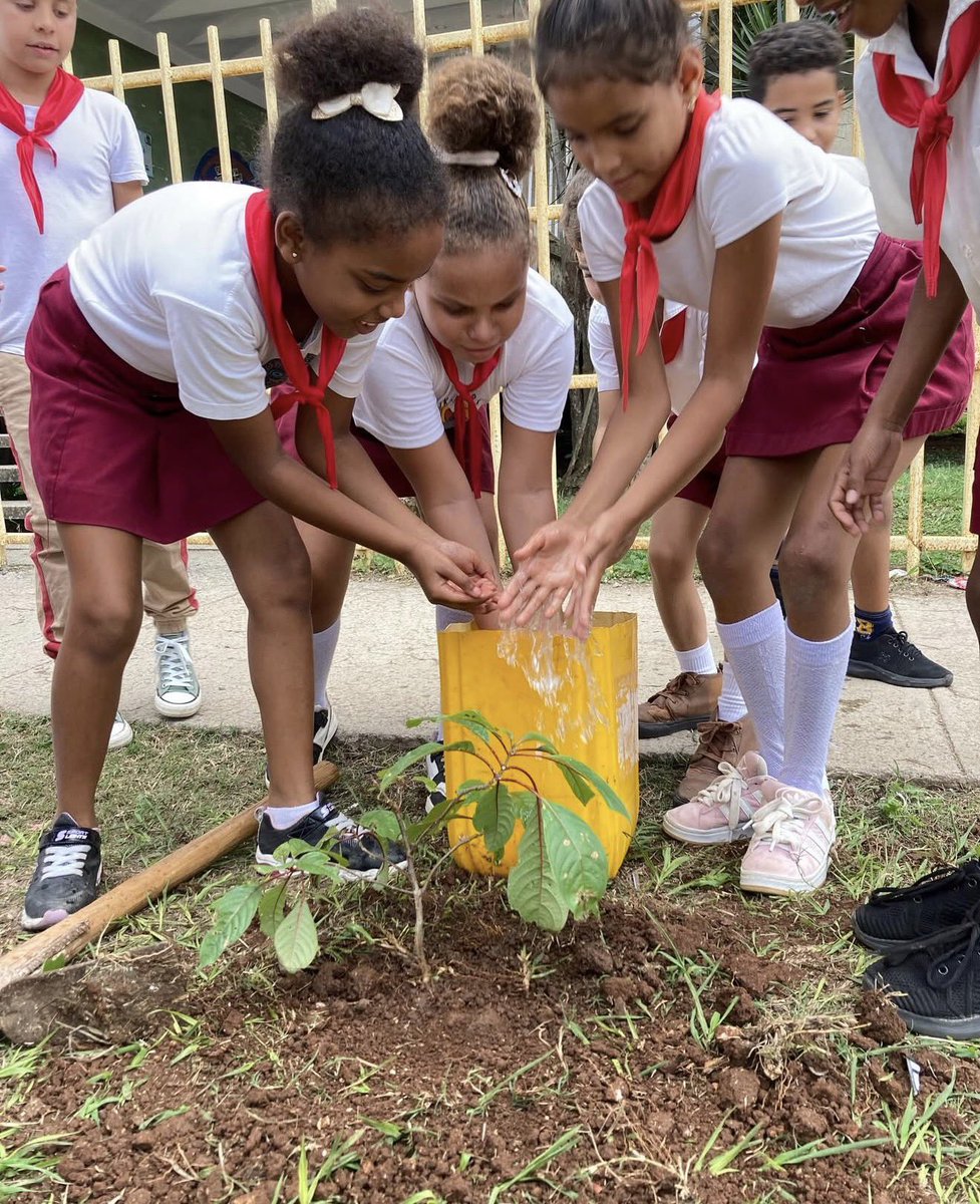 SUPER COOL native plant project in Cuba

<a href="/DvidTwit/">David Ramírez Álvarez 🇨🇺</a> tell me how to support this &amp; I will never shut up about it!!