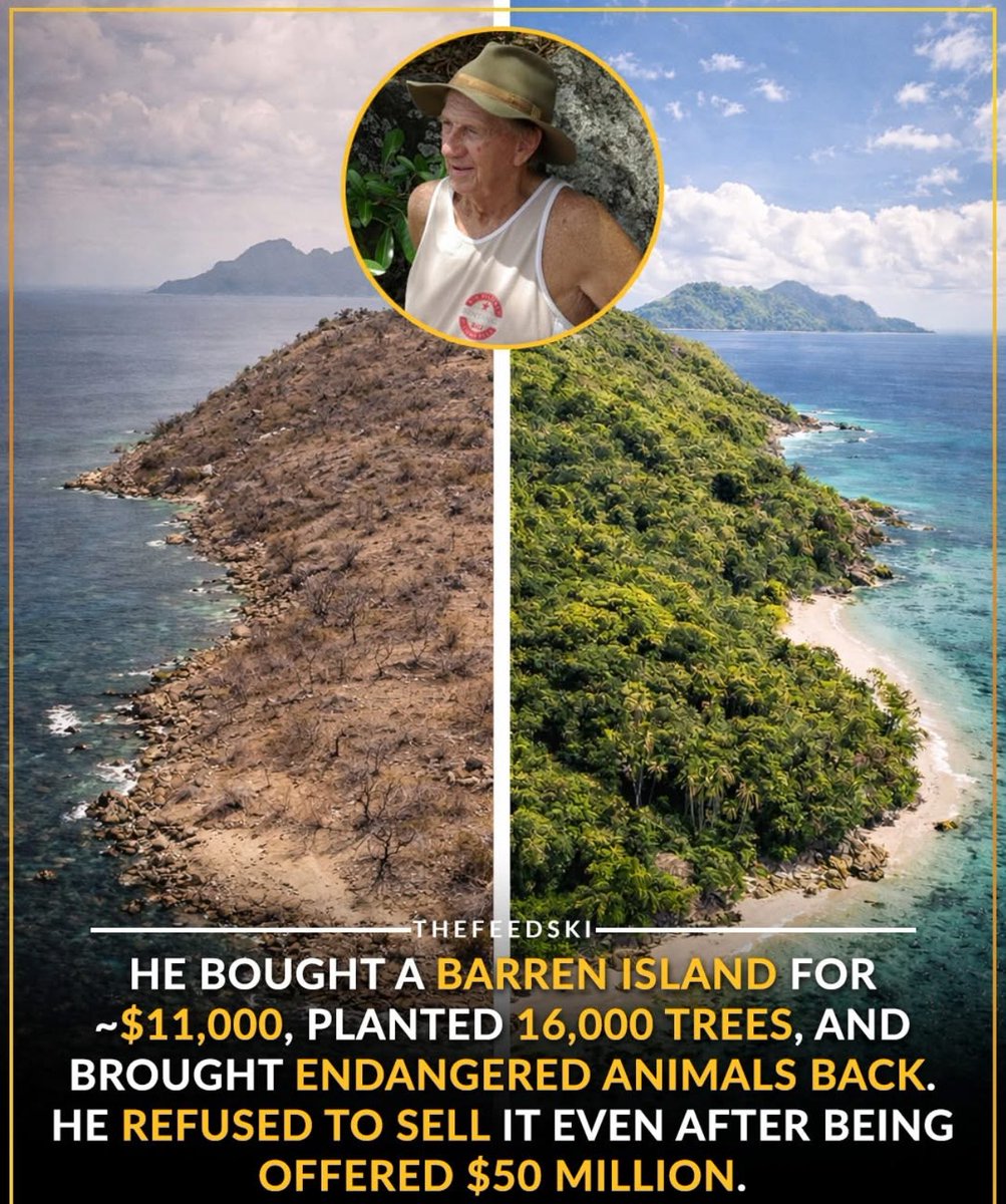 kira 👾 tweet media