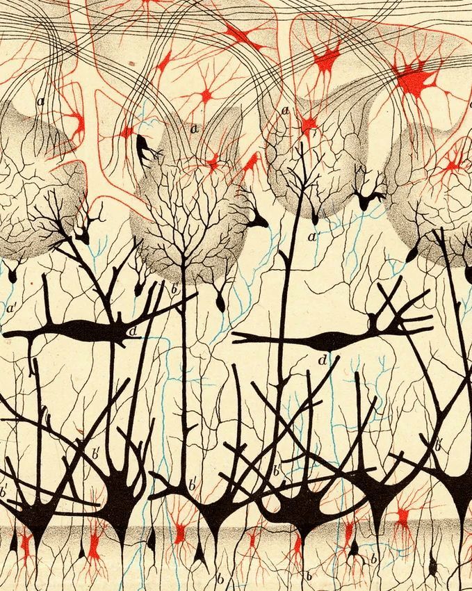 The Daily Former tweet media