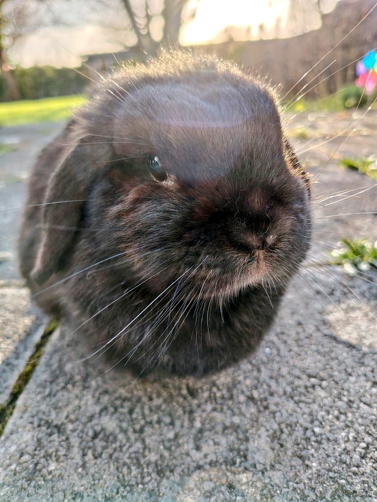she's like an emo dandelion