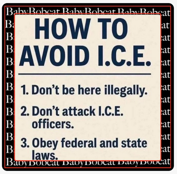 Pat Lambert tweet media