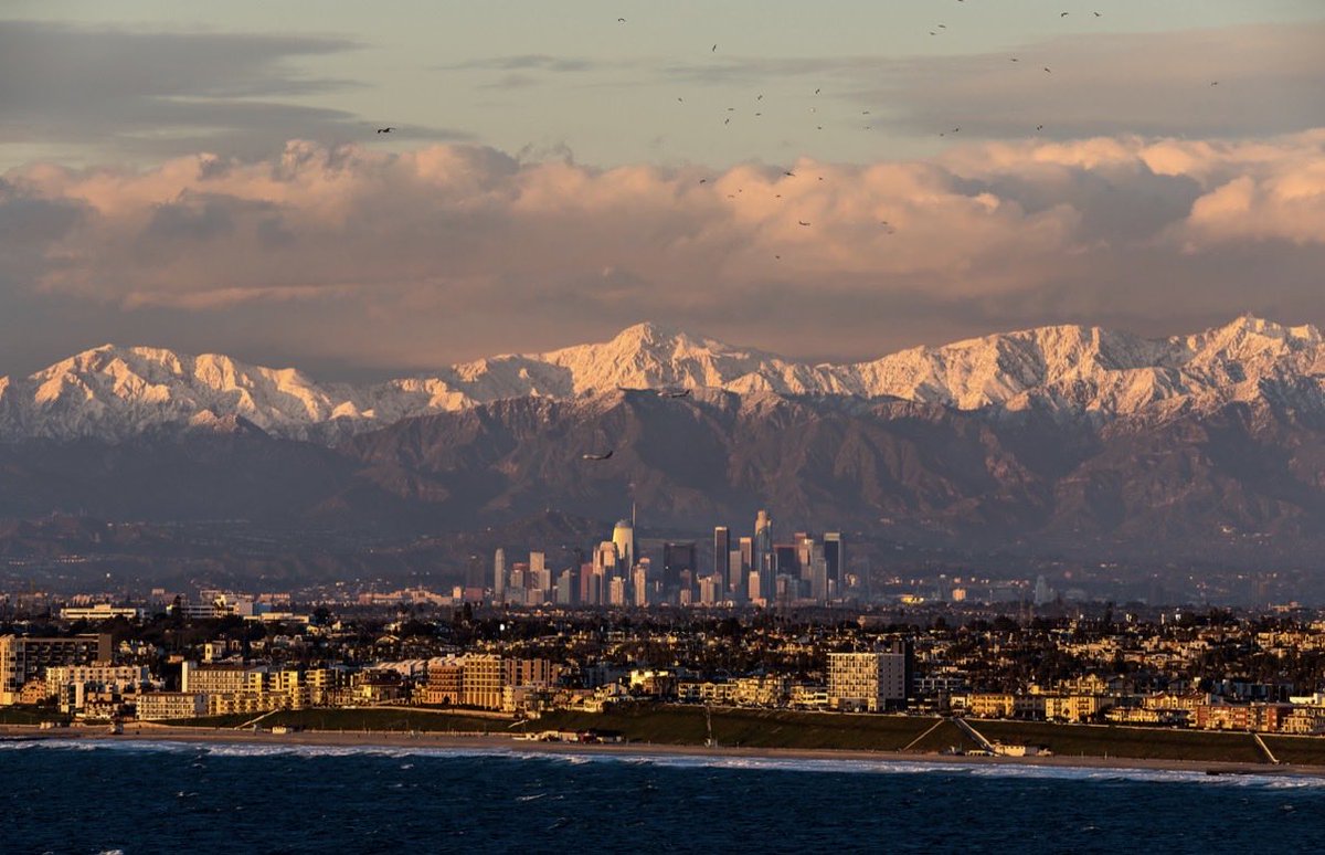 Brandon Yoshizawa tweet media