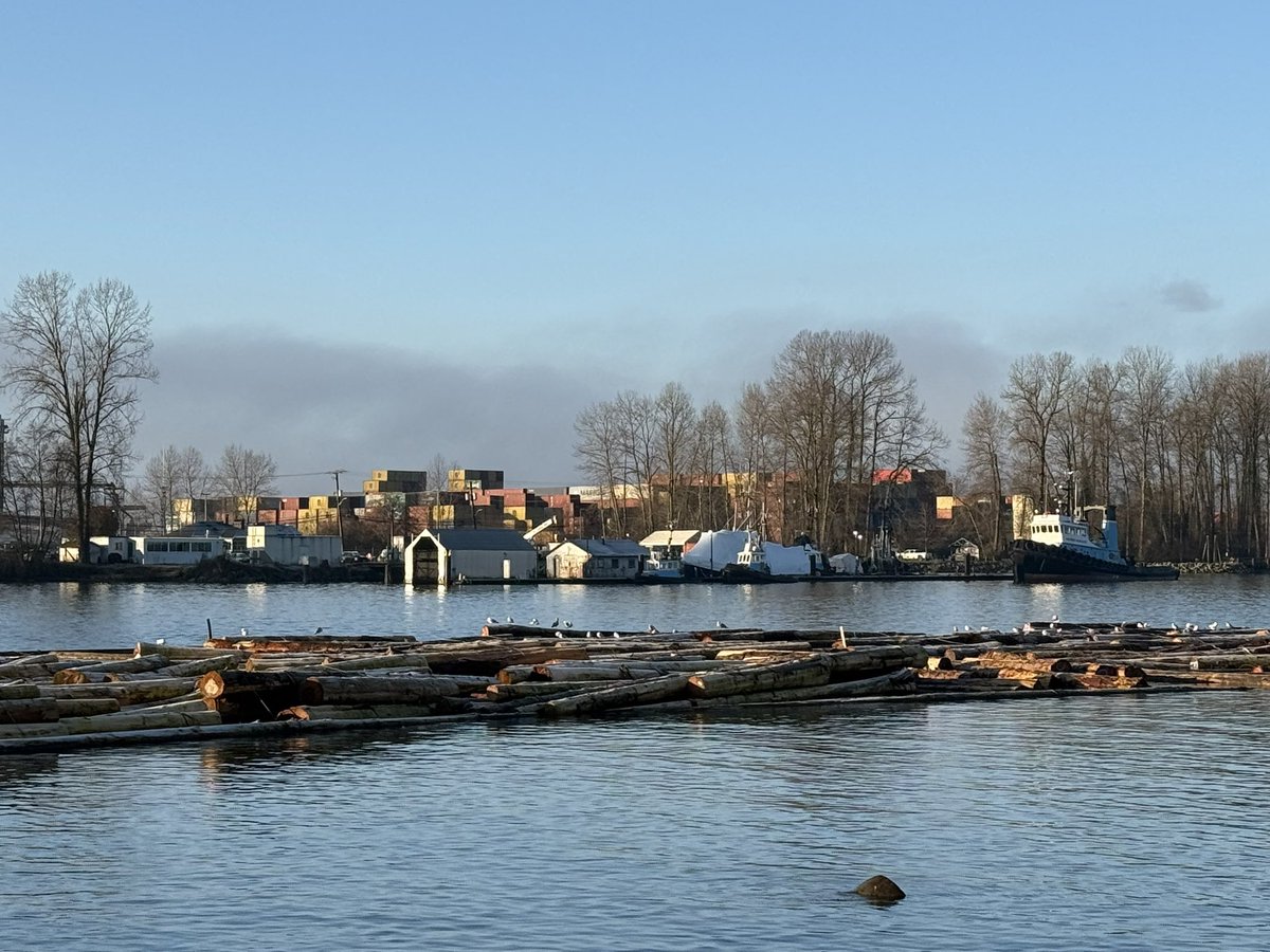 今朝のバンクーバーの風景をどうぞ。