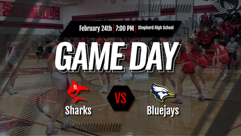 STL Sharks Athletics tweet media