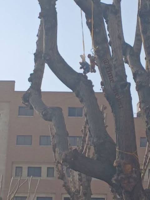 محکوم tweet media