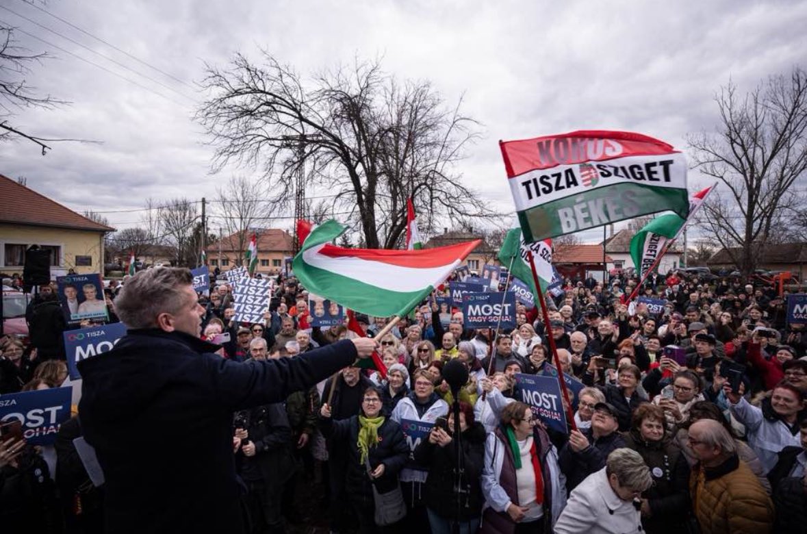 Oliver Adámek tweet media