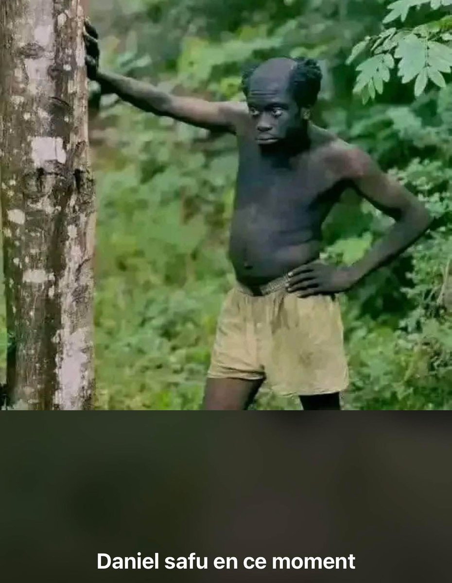 Daniel Safu en ce moment…🤣🤣
