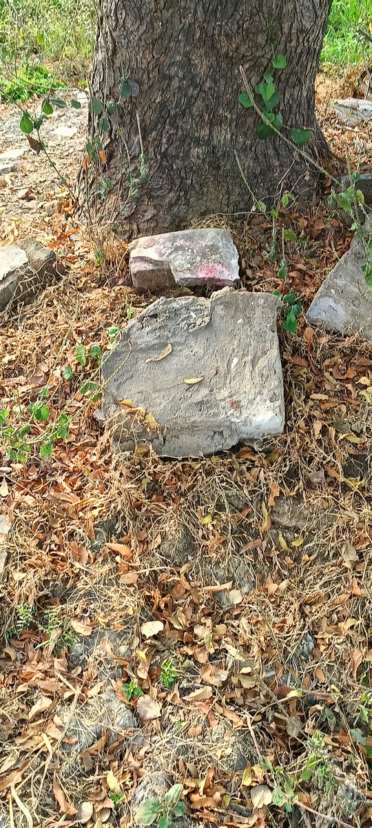 B.parmar tweet media