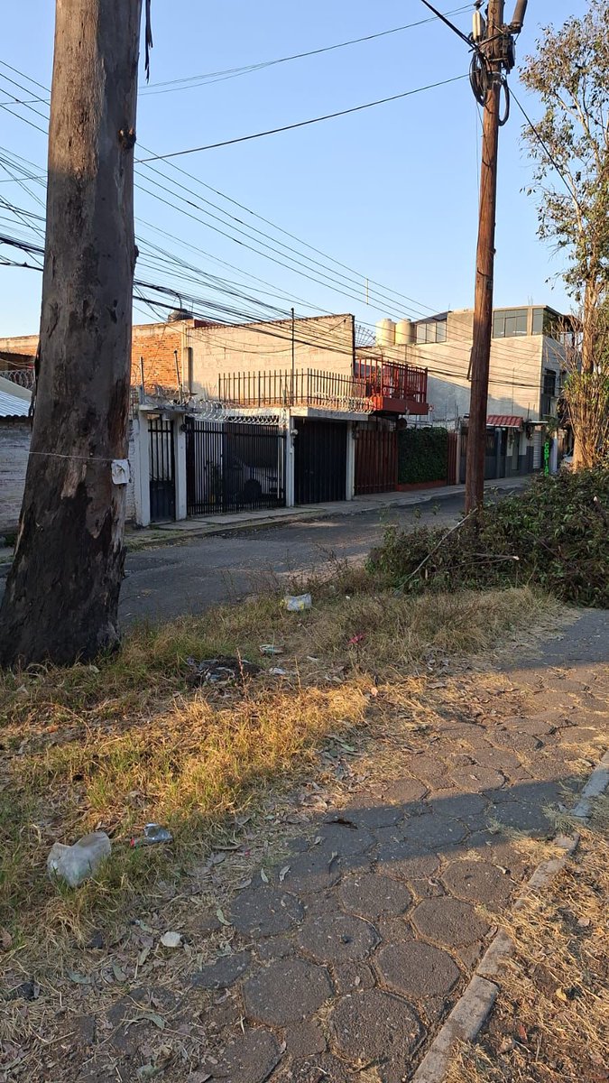 🚨🇲🇽Ojos en Puebla 👇🏻
Reporte ciudadano 🌲

Estimados medios de comunicación, Por medio del presente, los vecinos de la Colonia México 68 en Puebla capital, denunciamos la tala ilegal de un árbol ubicado en 16 oriente, presuntamente ordenada por la Señora Clementina López.
A