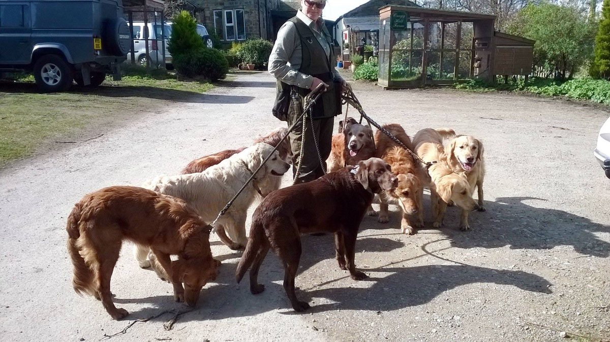 Chris Gardner tweet media