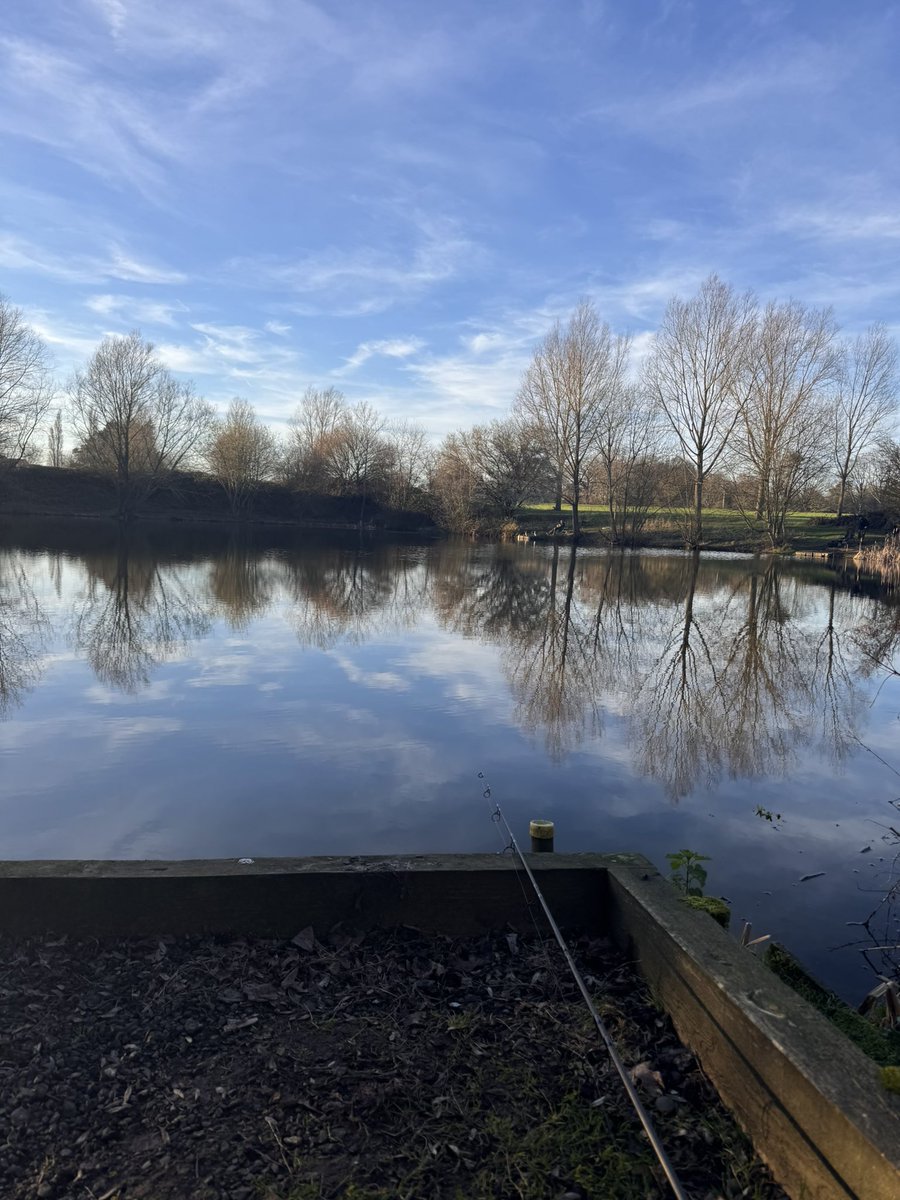 seeking shadows tweet media