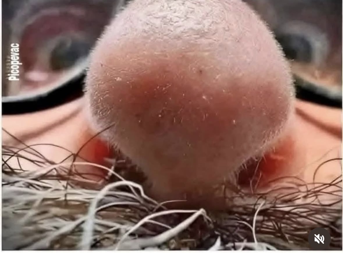 Како те гледа пивото!