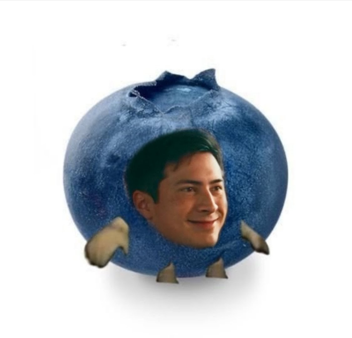 blueberry shane so dear in my heart