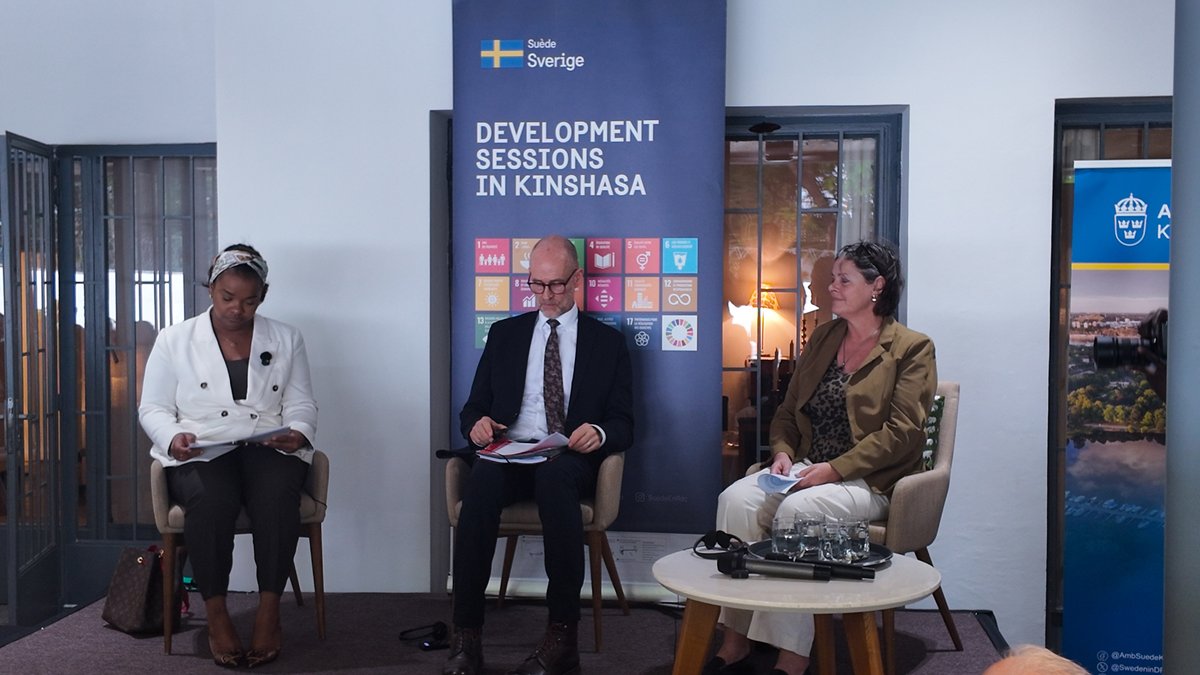 Sweden in DR Congo tweet media