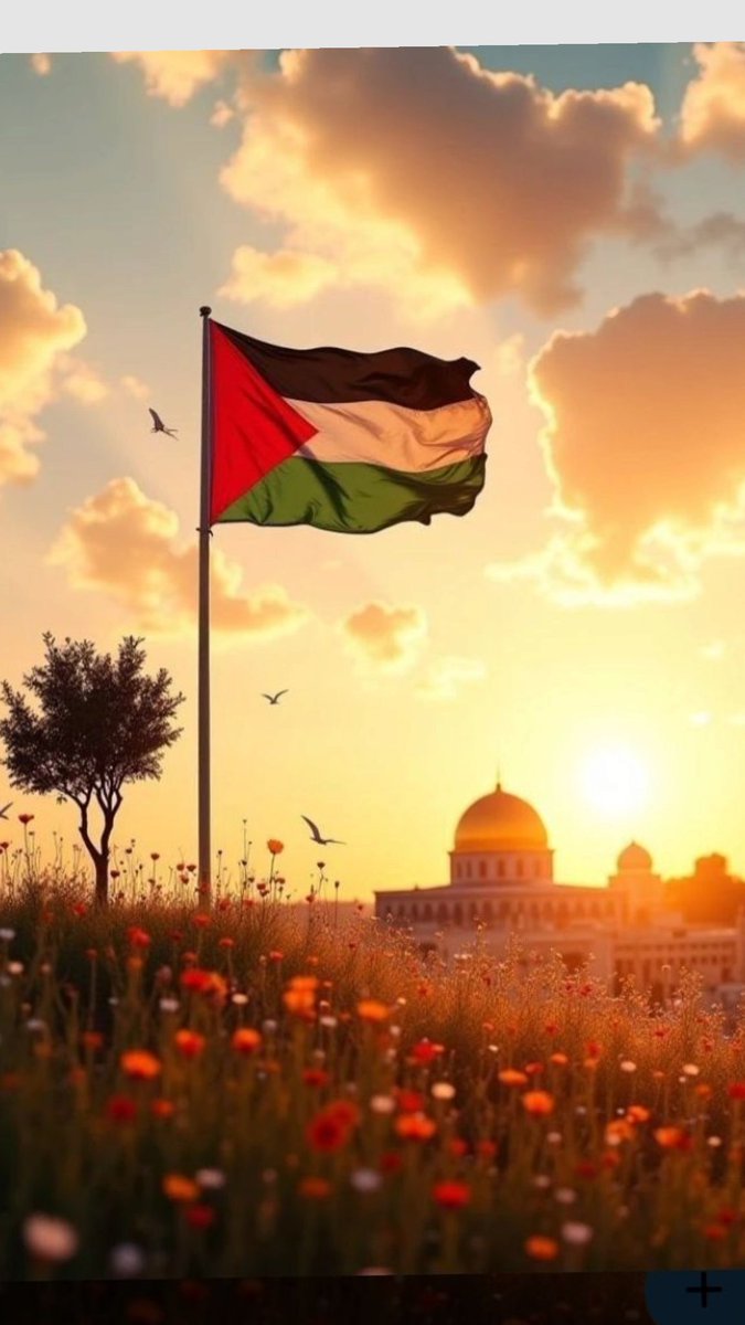 rima_allaham123's tweet photo. @Noor_daood0 #NEVERFORGETGAZA
#NEVERFORGETPALESTINE
MANY THANKS FOR YOUR #GENEROUSDONATIONS. https://t.co/Mp1foGIqEY