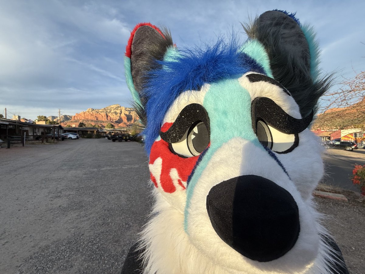 Splat Fennec 🔜 LVFC tweet media