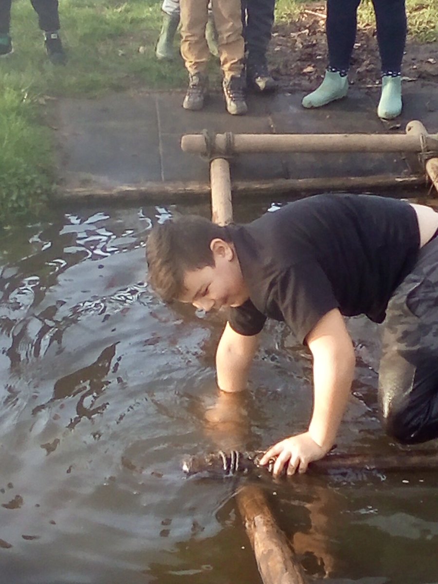 year4barwell's tweet photo. Bridge building https://t.co/wtuFhWvWlP