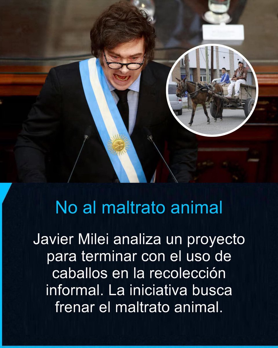natti_pro's tweet photo. @DiegoMac227 @JMilei SEÑOR PRESIDENTE @JMilei NECESITAMOS DE FORMA URGENTE PRISIÓN Y MULTAS ECONÓMICAS PARA AQUELLOS QUE MALTRATAN, ABANDONAN, MATAN Y COMERCIALIZAN ANIMALES. HASTA CUÁNDO VA A QUEDAR ESTO EN LA NADA?
#BASTADETAS #BASTADEMALTRATOANIMAL
#NOALARIÑADEGALLOS
#NOACARRERASDEGALGOS https://t.co/zTREShndJD