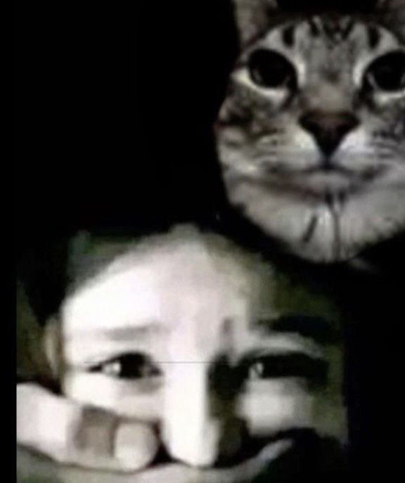 케이주얘기하거라