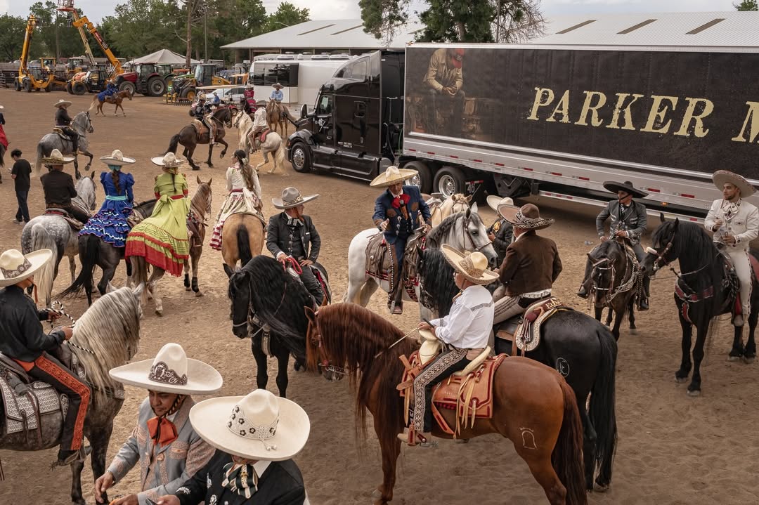 Fresh Western tweet media