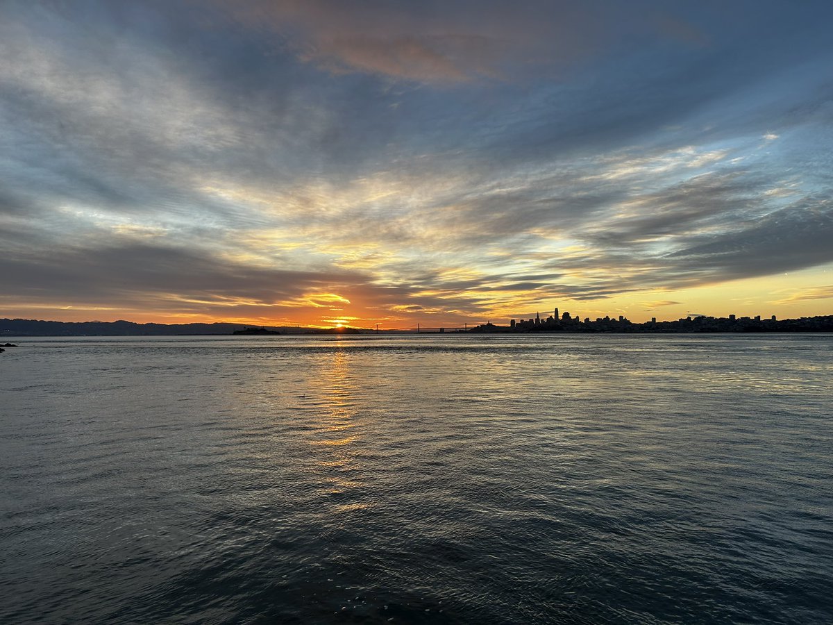 Julius Court tweet media