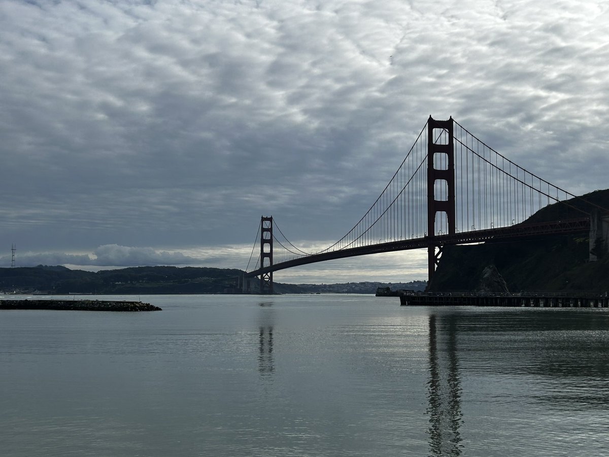 Julius Court tweet media