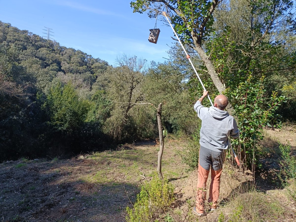 Societat Catalana d'Herpetologia tweet media