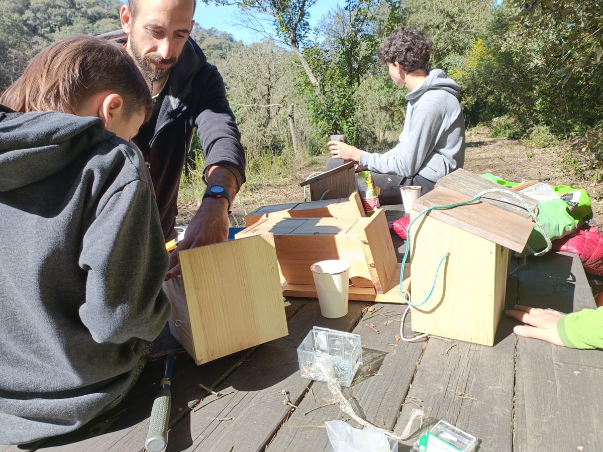 Societat Catalana d'Herpetologia tweet media