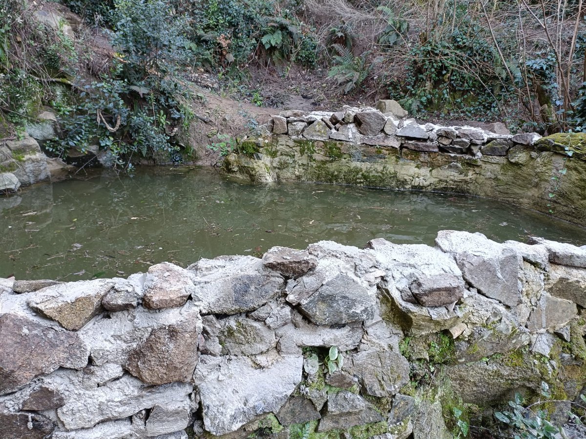 Societat Catalana d'Herpetologia tweet media