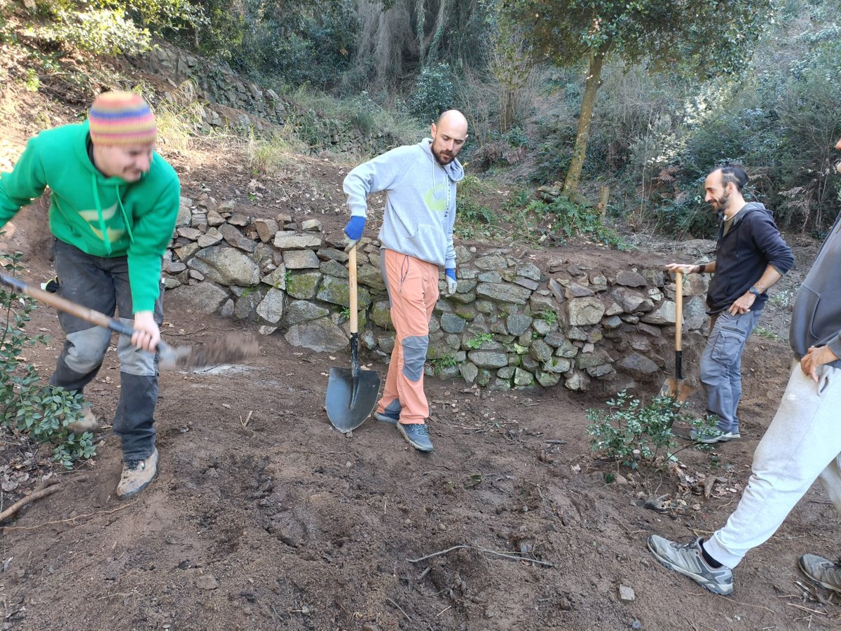 Societat Catalana d'Herpetologia tweet media