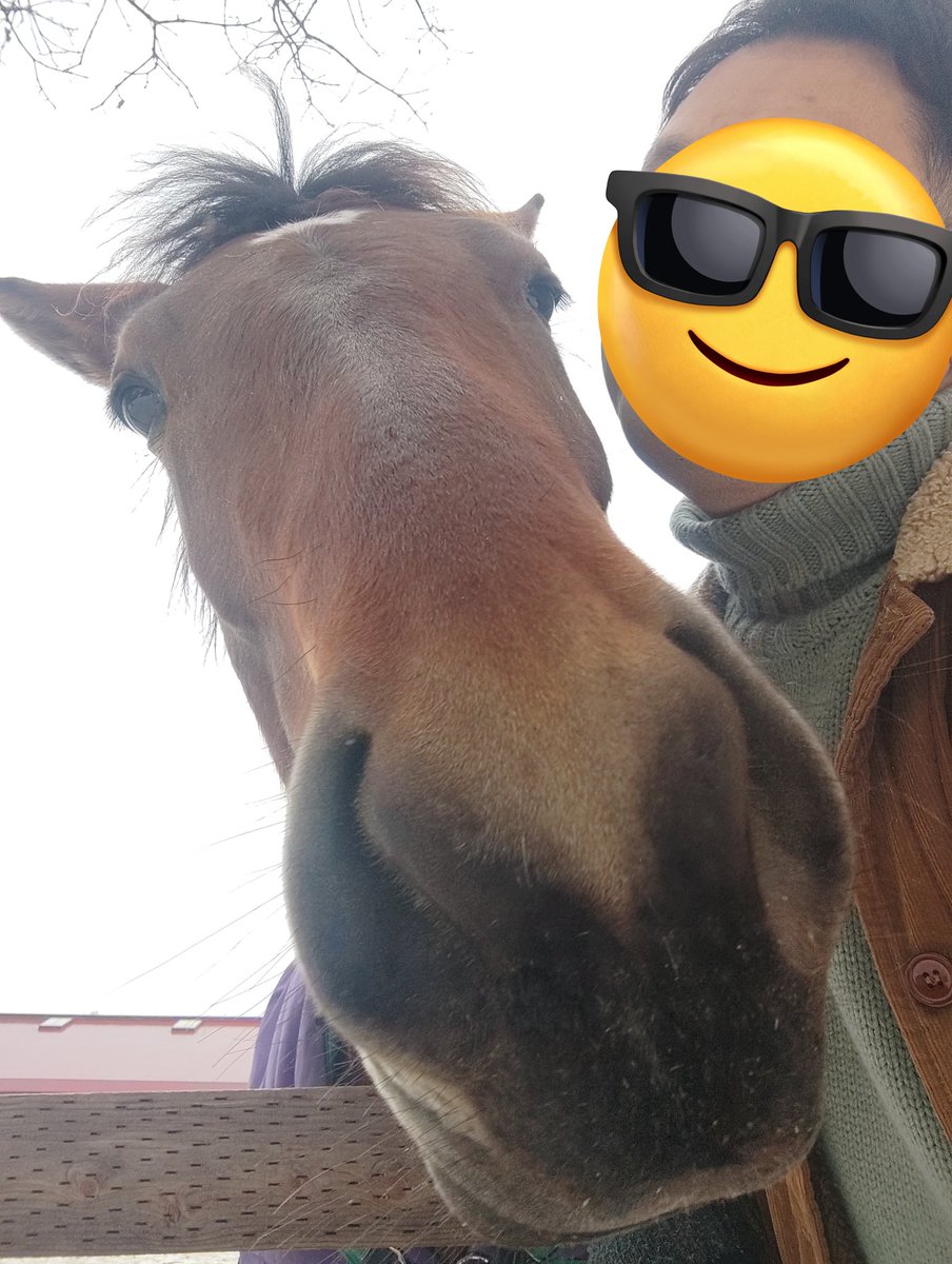 やく🐴馬好きおじさん (@kamine89) / Posts / X