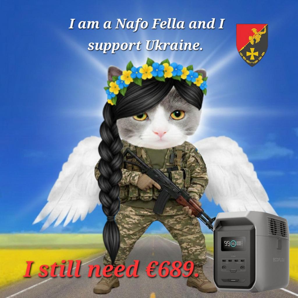 💙💛🌻Reni1977🇩🇪kämpft für die 🇺🇦✊️ tweet media