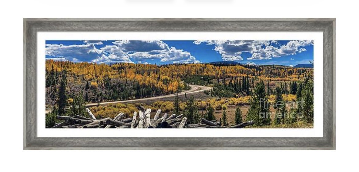 erinmdorffette's tweet image. Check out this #panorama photograph of #fallcolors in the #mountains of #colorado! #scenicdrive #roadtrip #fineartphotography #art #artforsale faa.savingmemoriesbymakingmemories.com/featured/sceni…
