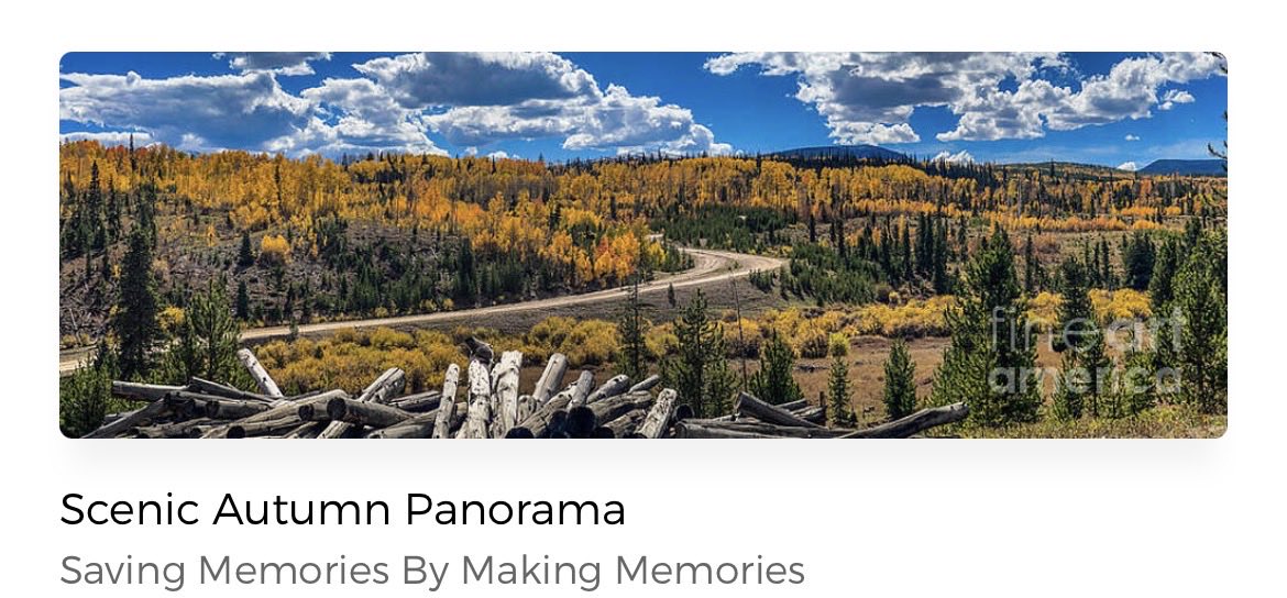 erinmdorffette's tweet image. Check out this #panorama photograph of #fallcolors in the #mountains of #colorado! #scenicdrive #roadtrip #fineartphotography #art #artforsale faa.savingmemoriesbymakingmemories.com/featured/sceni…