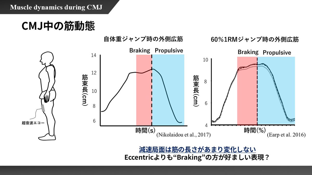 西海 大地（Daichi Nishiumi） Ph.D tweet media