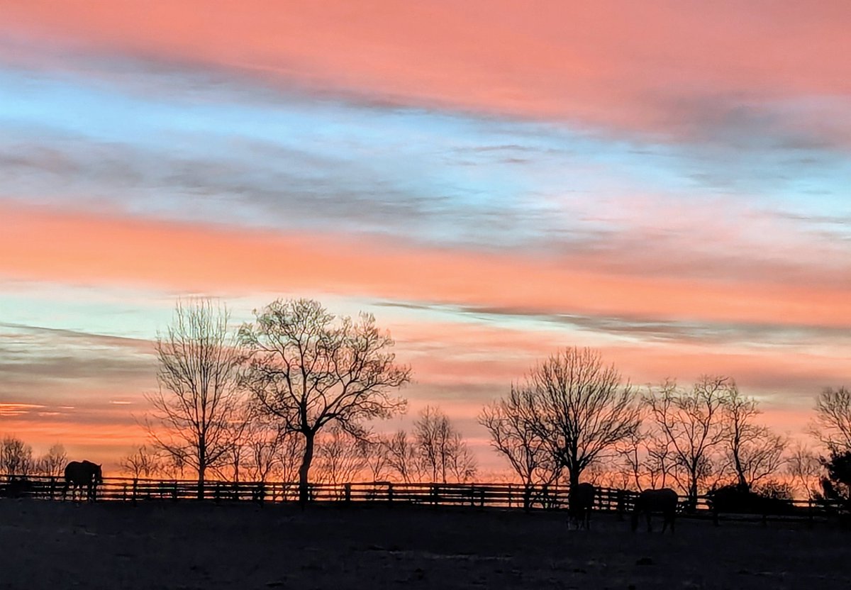 Serendipity Springs Farm sunrise
#howluckyarewe