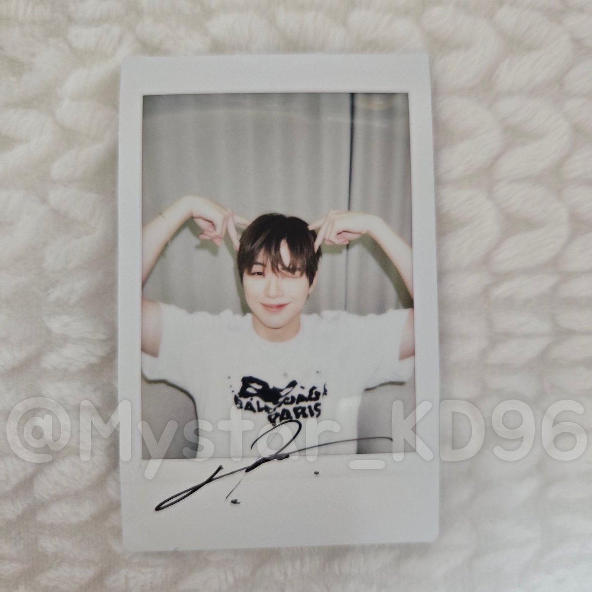 猫になりたい犬🐶💕