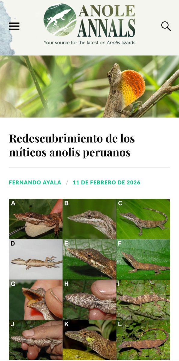 Fernando Ayala tweet media