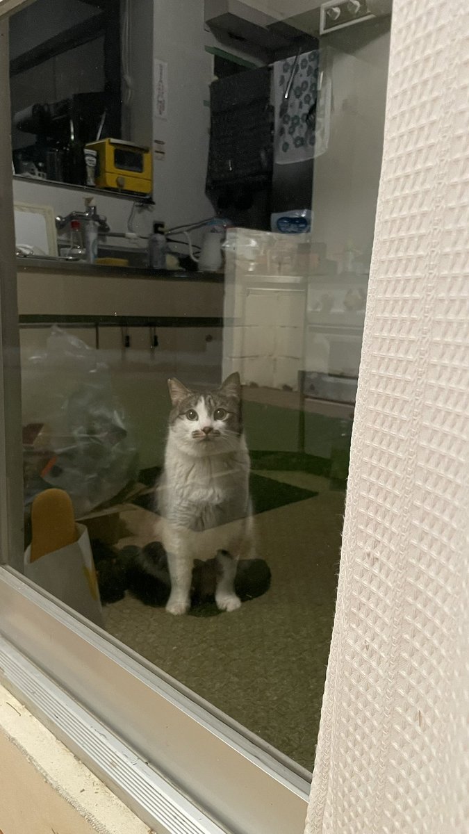 よっ、元気してた？