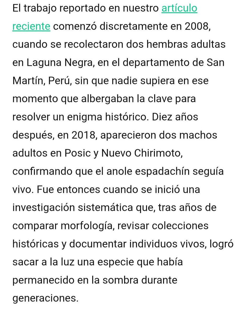 Fernando Ayala tweet media