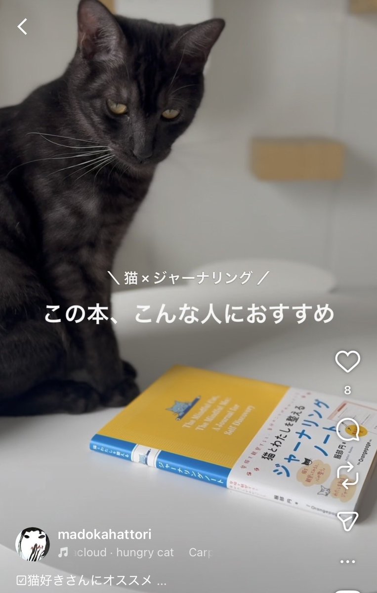 ilovedotcat's tweet photo. 猫好きにおすすめの本！ https://t.co/GIZvBiOHm3