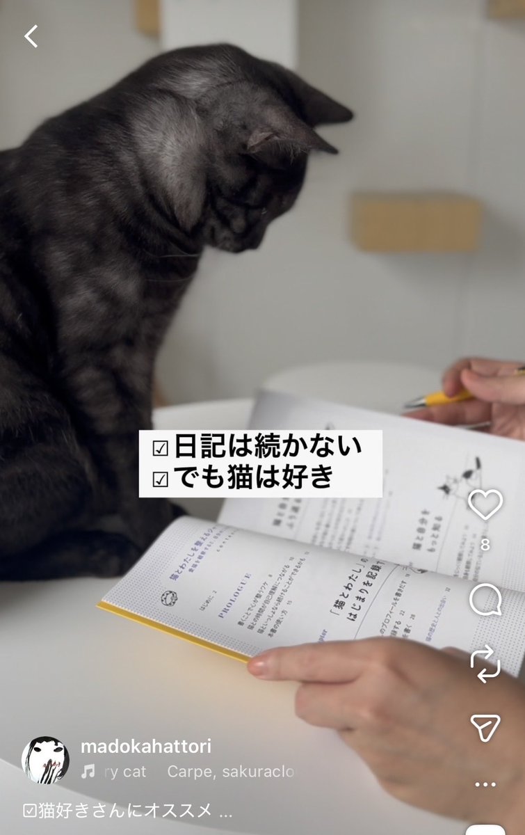 ilovedotcat's tweet photo. 猫好きにおすすめの本！ https://t.co/GIZvBiOHm3