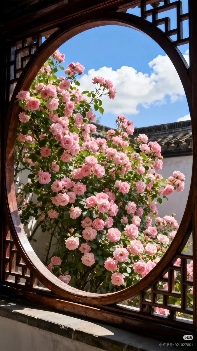 blossom. tweet media